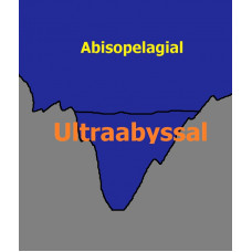 Ultraabyssal