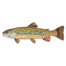 Charr: Brook Trout