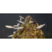 Three-lined pencilfish