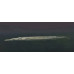 Wrestling halfbeak