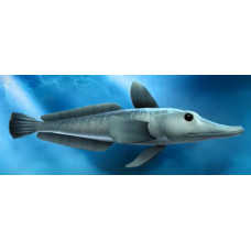 Blackfin icefish