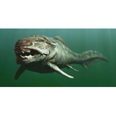 Dunkleosteus Dunkleosteus