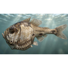 Half-naked hatchetfish