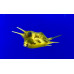 Longhorn cowfish