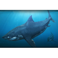 Megalodon