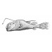 Southern seadevil