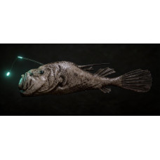 Southern seadevil