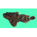 Twohorn sculpin