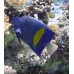 Yellowbar angelfish