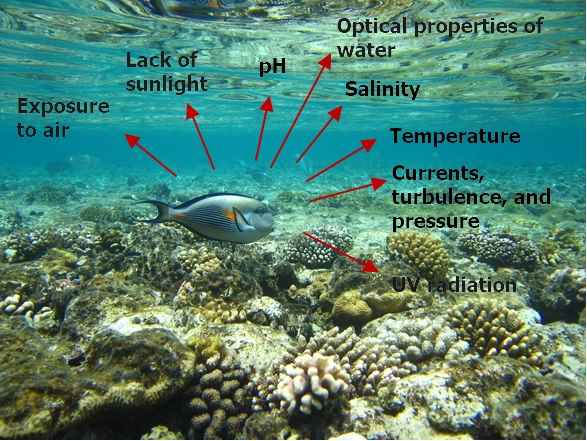 Abiotic environmental factors