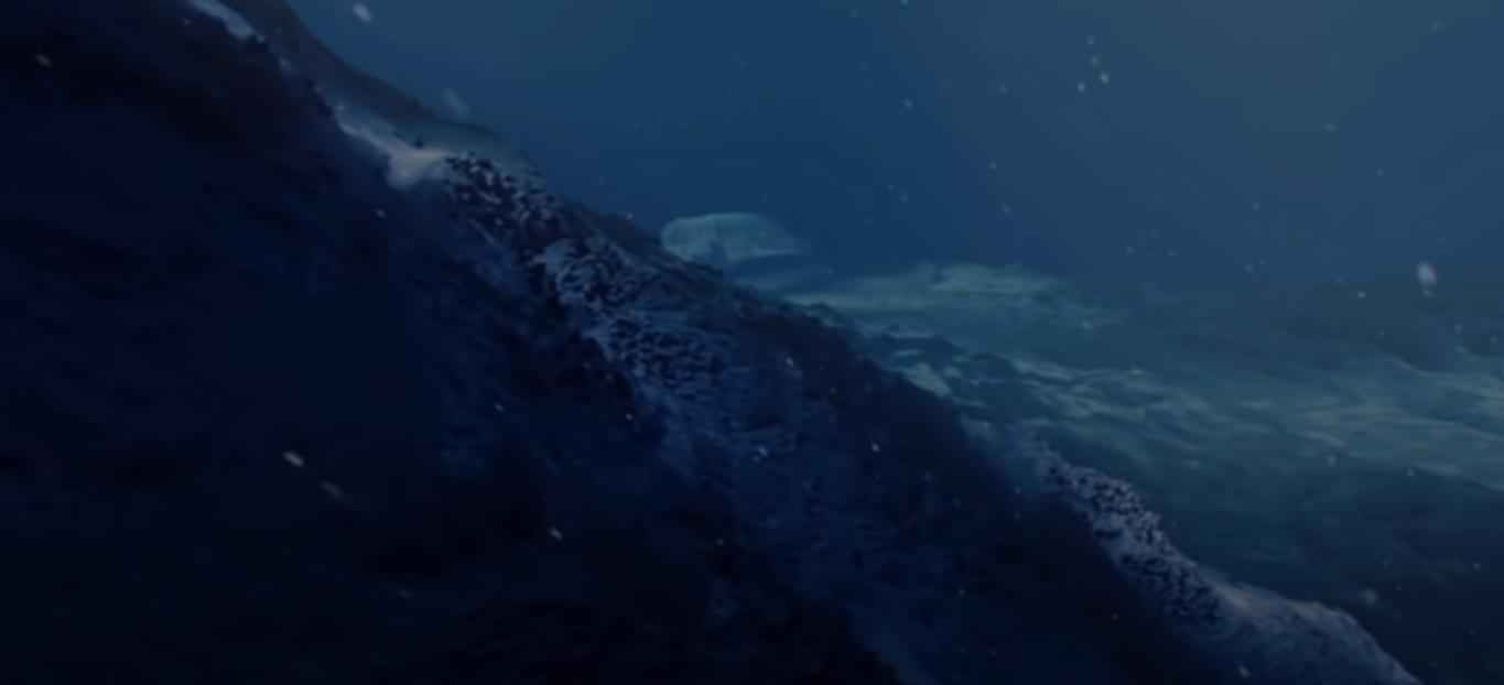 Abyssal zone