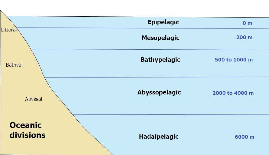 Abyssopelagic