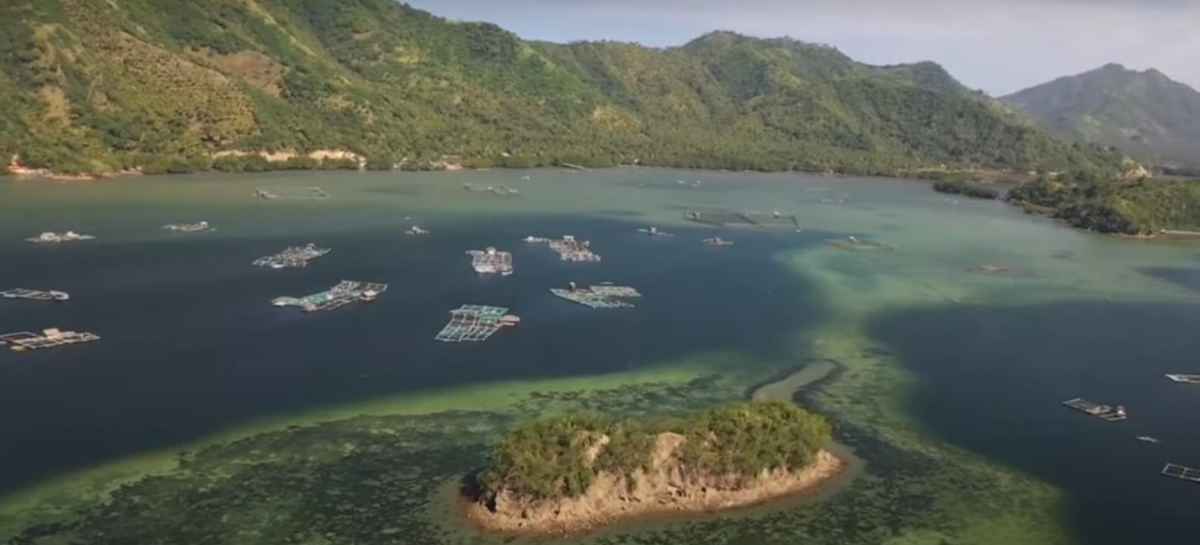 Aquaculture