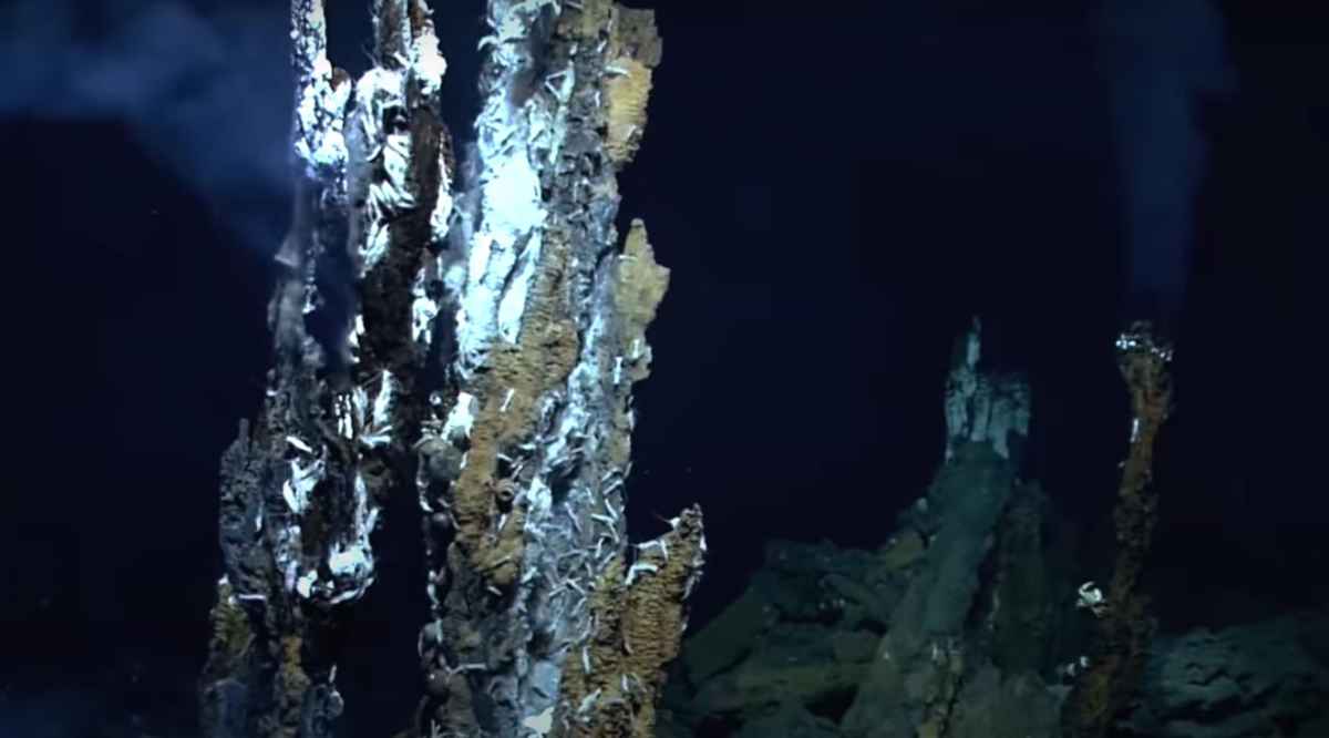 Hydrothermal vent
