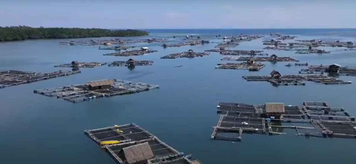 Mariculture