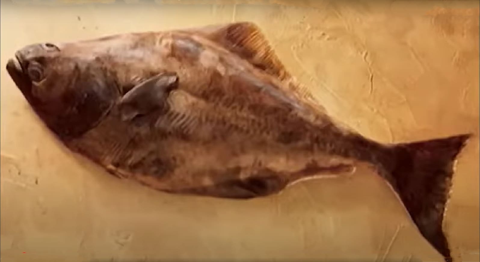 Atlantic halibut
