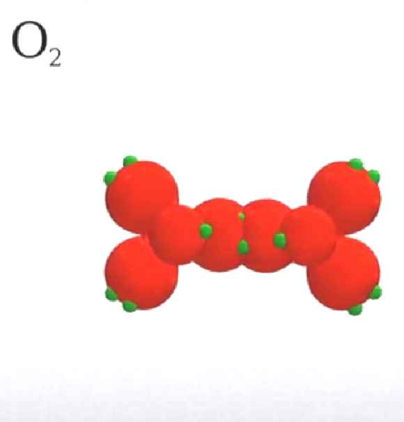 Biological oxygen consumption