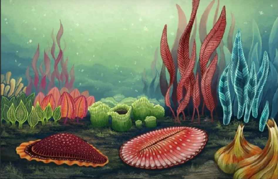 Biota