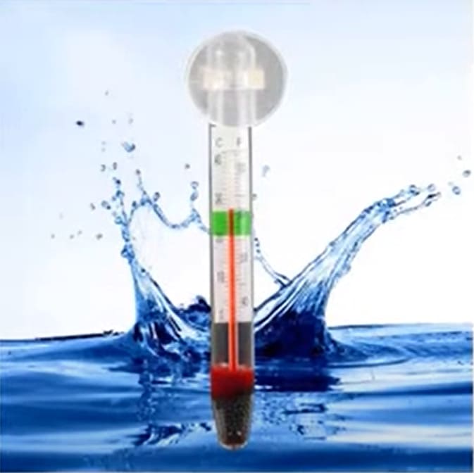 Body temperature of fish