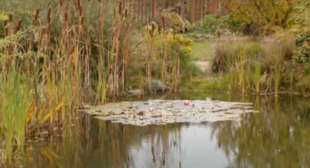 Bonification reservoir