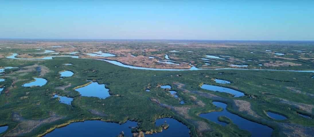 Delta