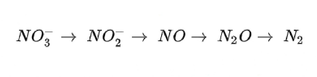 Denitrification