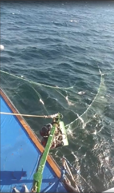 Drift nets