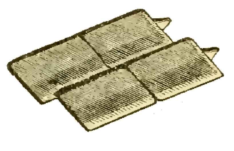 Ganoid scale