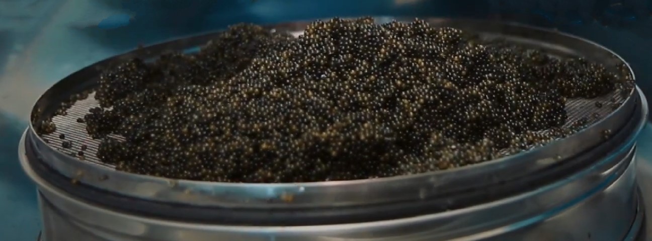 Granular caviar
