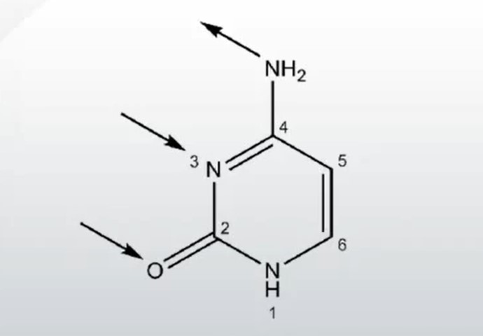 Guanine