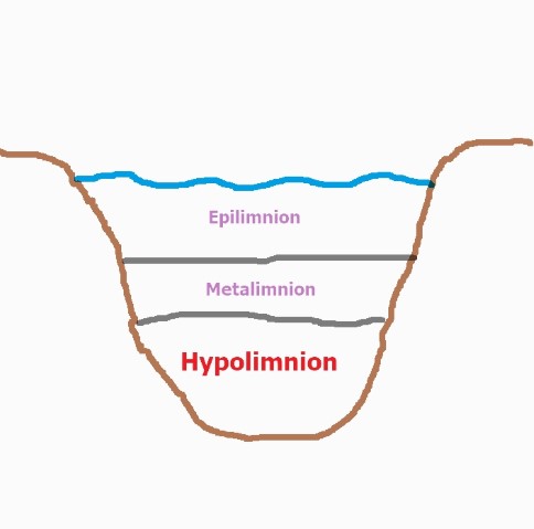 Hypolimnion