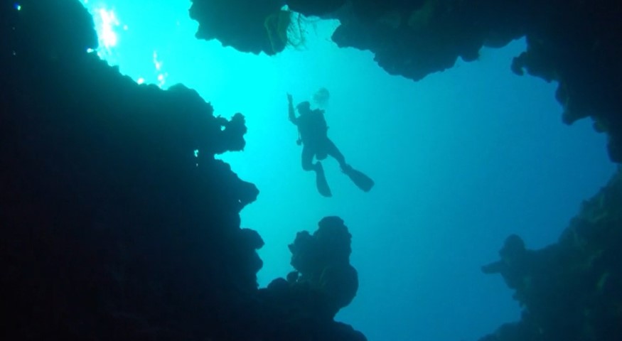 Ichthyologist