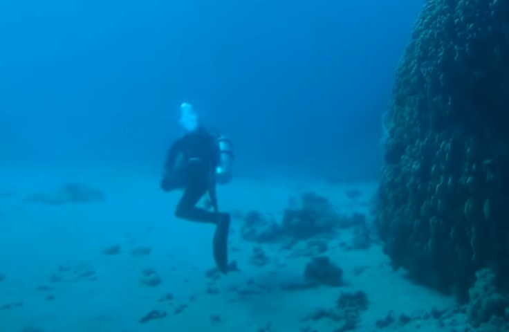 Ichthyology