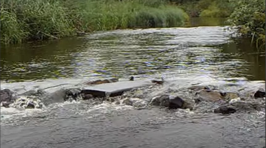 Invertebrate drift