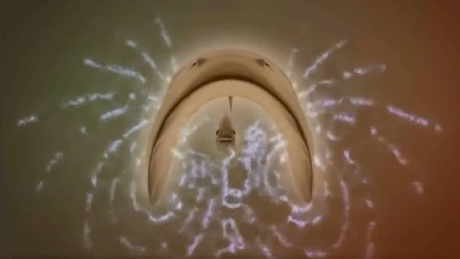 Organs of electrical perception