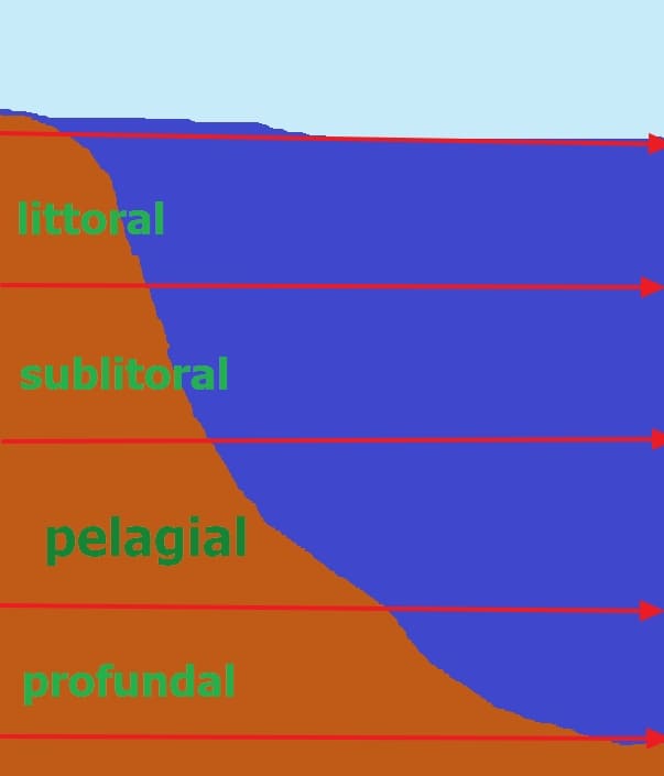 Pelagial
