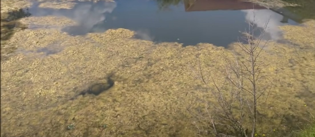 Siltation of the reservoir
