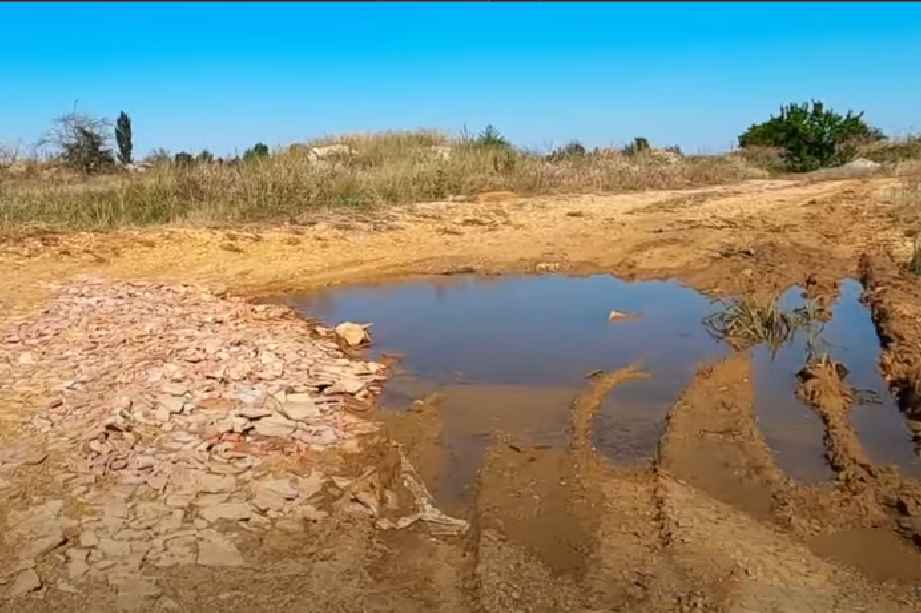 Temporary pond (puddle)