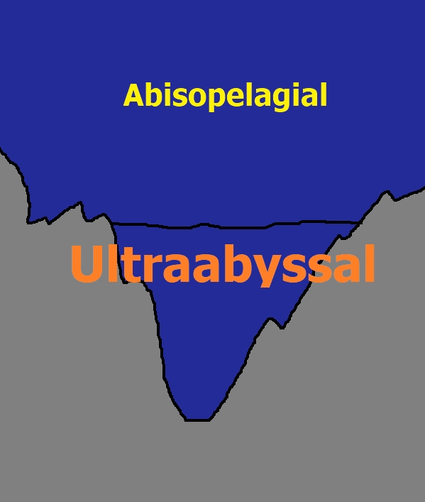 Ultraabyssal