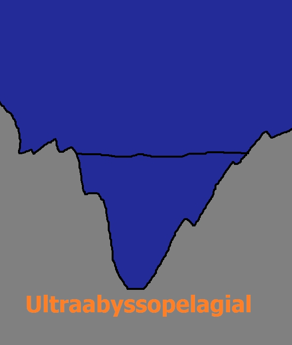 Ultraabyssopelagial