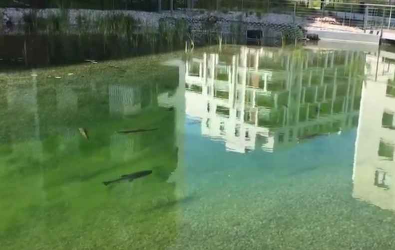 Water Management