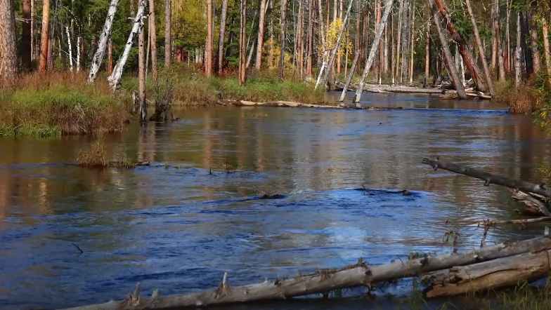 Watercourse
