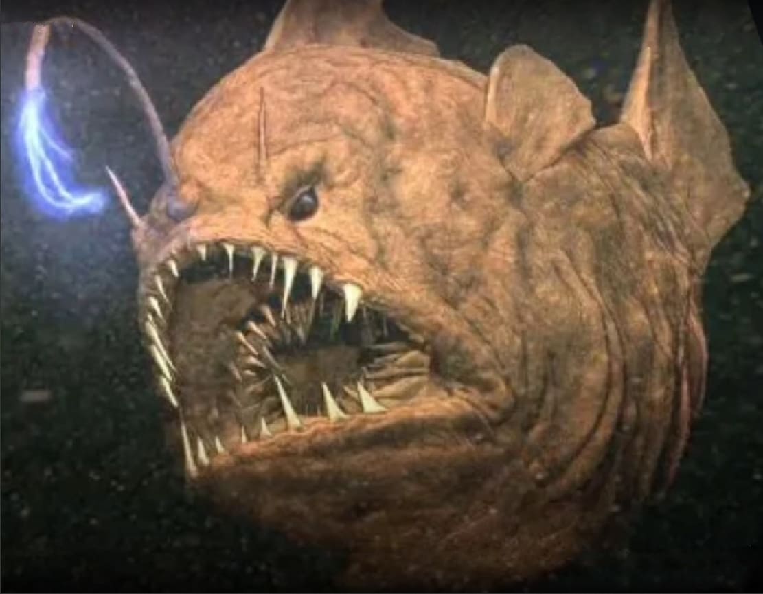 Angler