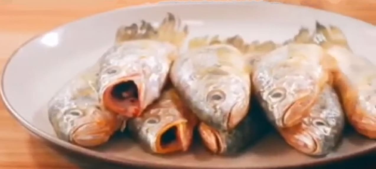 Redlip croaker