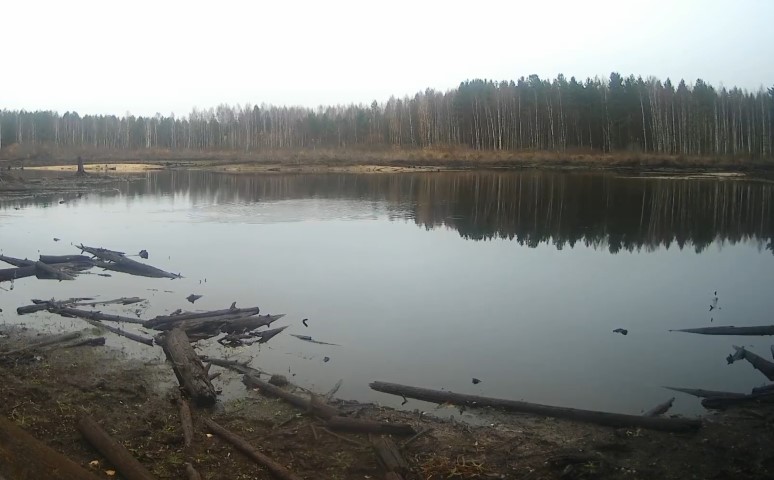 Zakoryazhennost